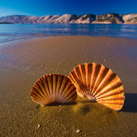 Апартаменты Guesthouse Lopar *