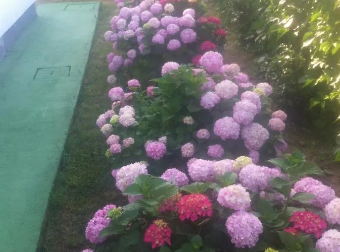 Guesthouse Lopar * Лопар