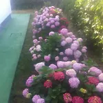 Guesthouse Lopar * لوبار